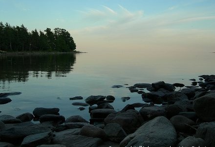 Wasser ist Leben