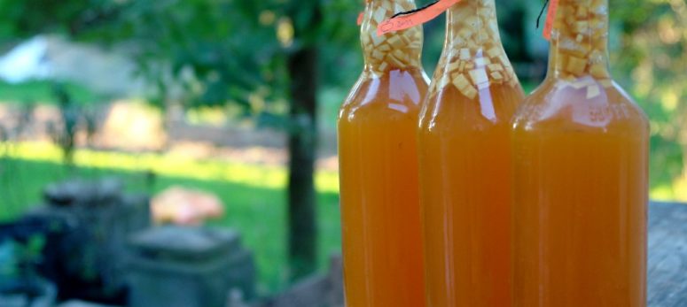 Saft selbst herstellen – (fast) wie die Profis