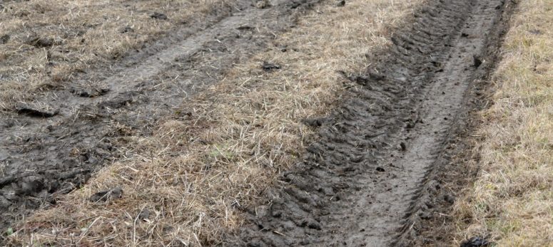 Die Vorteile der modernen Landwirtschaft