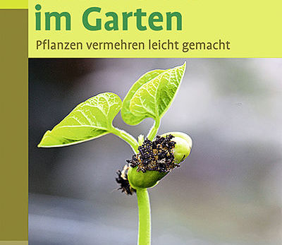 Nachwuchs im Garten