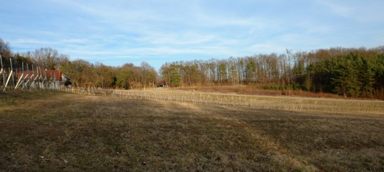 Weitere Fotos vom neuen Lebensort