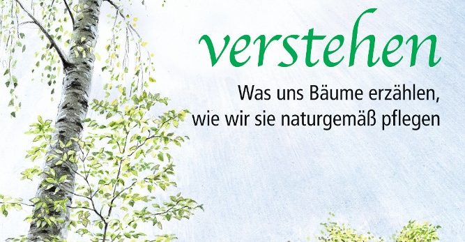 Bäume verstehen