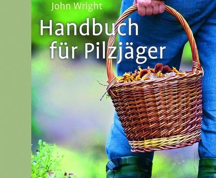 Die Pilzsaison steht vor der Tür
