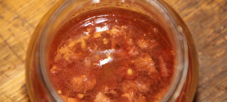 Tomaten für die Welt!