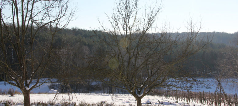 Gemeinschaftsfindung, Winteranfang und andere Baustellen