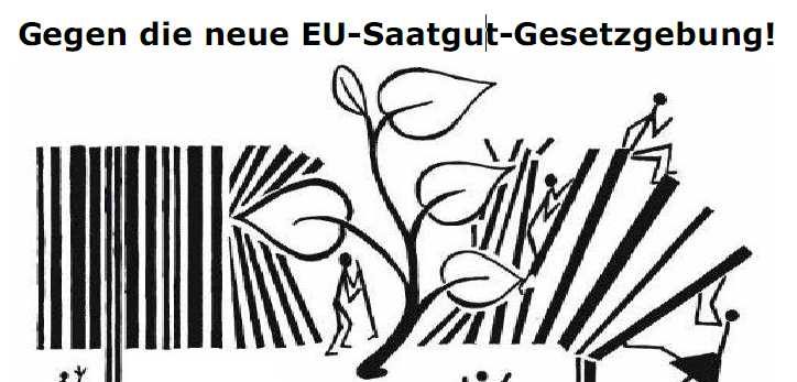 Was gibt es Neues zur EU-Saatgutrechts-Reform?