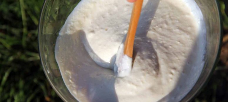 Kefir und wir