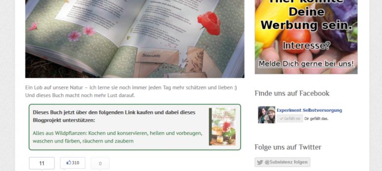 Die nächsten Schritte dieses Web-Projektes