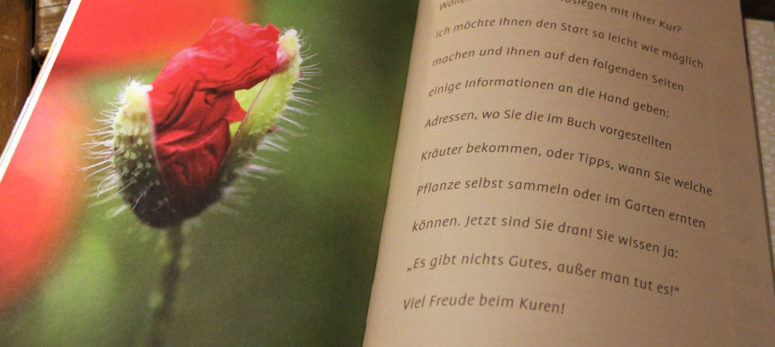 Die 10 meistgelesenen Artikel 2013