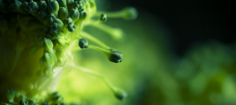 10 Wege, um dein Immunsystem natürlich zu stärken